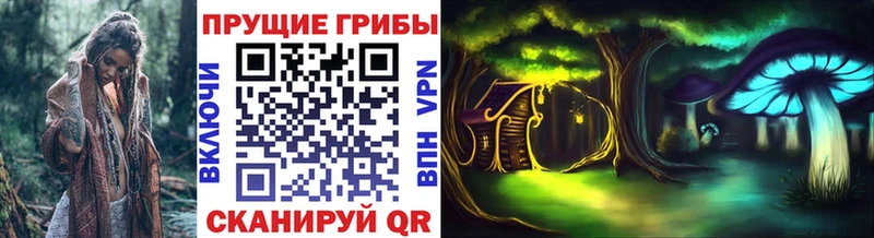 где можно купить   Новая Усмань  Псилоцибиновые грибы Psilocybe 